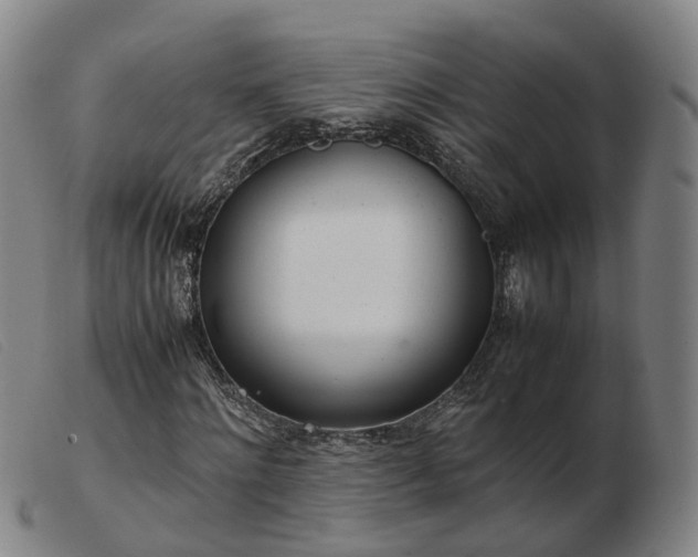 X0000103430868200809191658