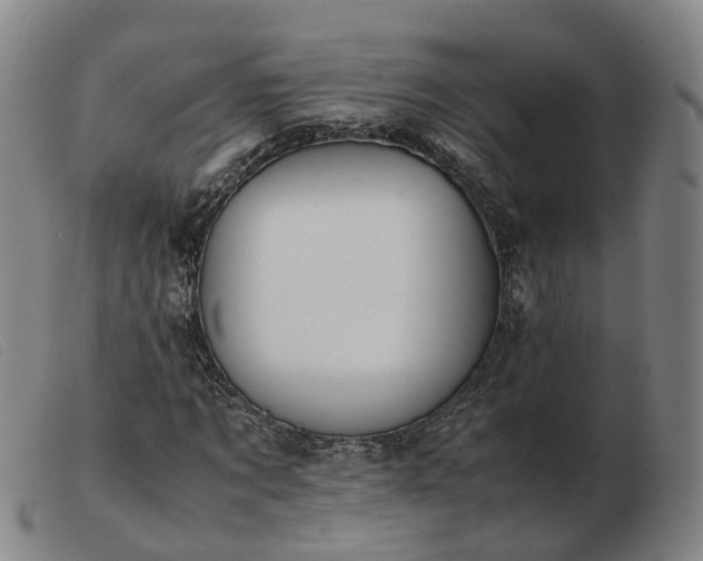 X0000103430869200809191658