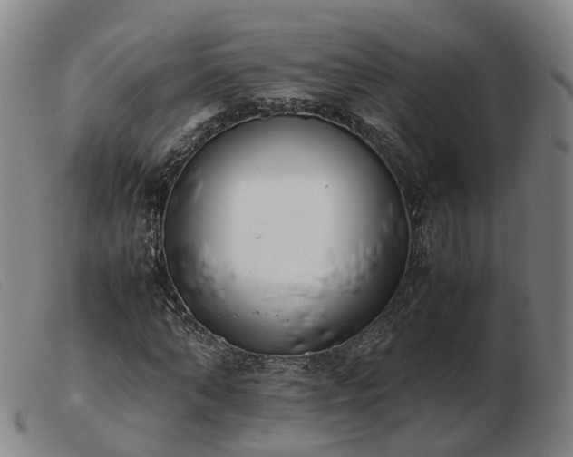 X0000103430870200809191658