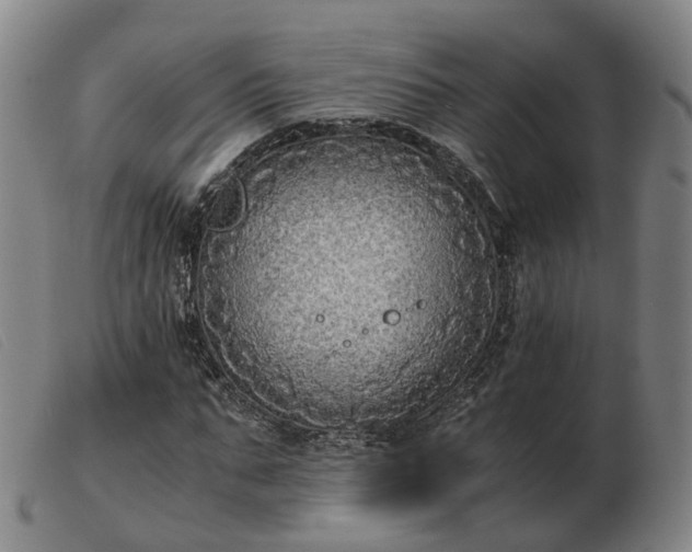 X0000103430871200809191658