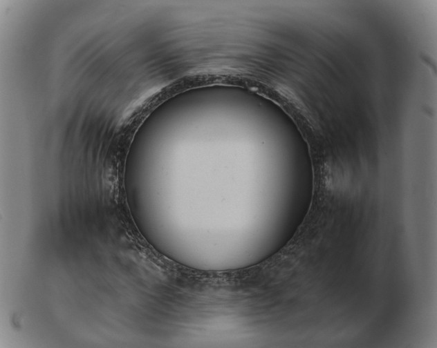 X0000103430872200809191658