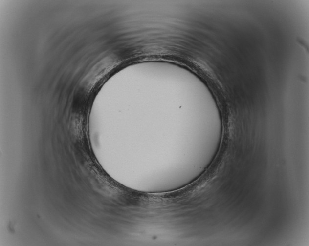 X0000103430873200809191658