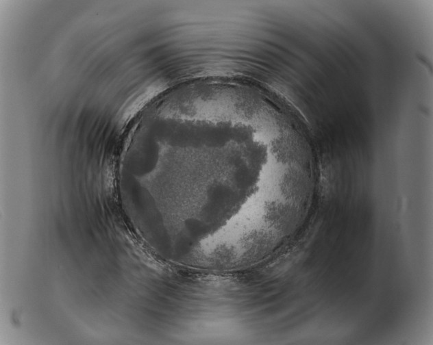 X0000103430874200809191658