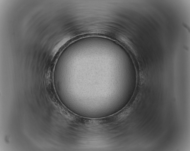 X0000103430875200809191658