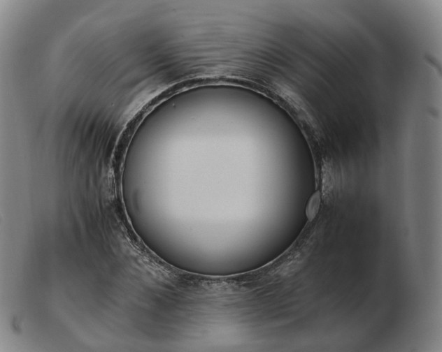 X0000103430876200809191658