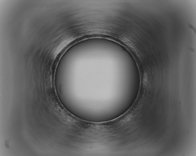 X0000103430877200809191658