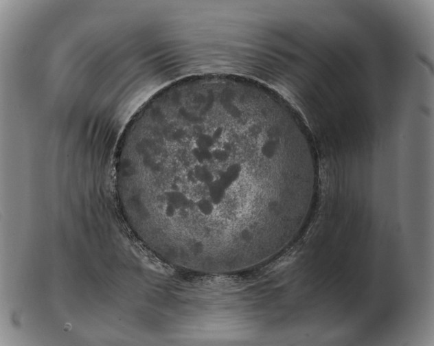 X0000103430879200809191658