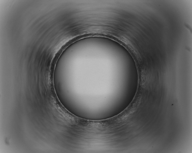 X0000103430880200809191658