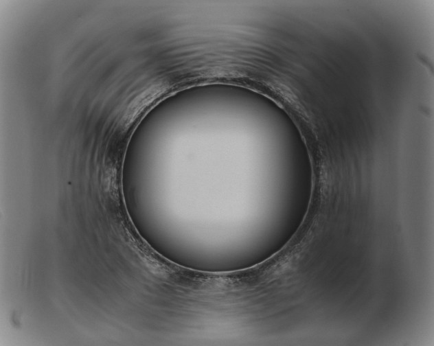 X0000103430881200809191658