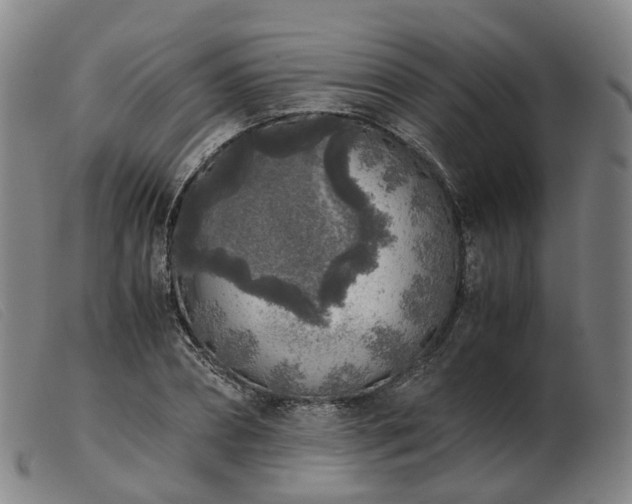 X0000103430882200809191658
