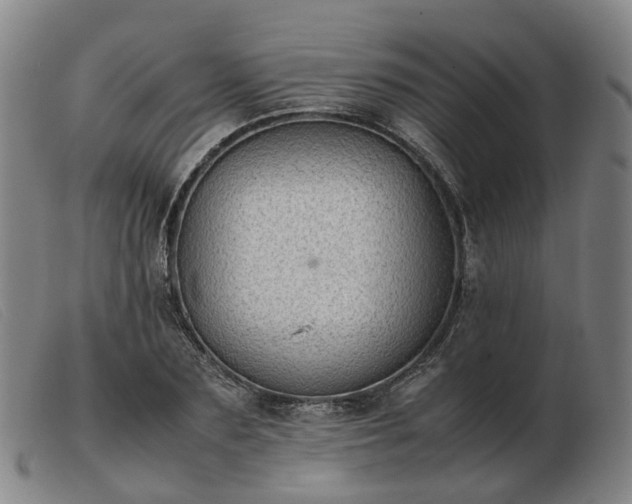 X0000103430883200809191658