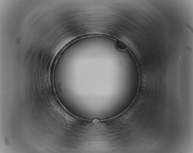 X0000103430884200809191658