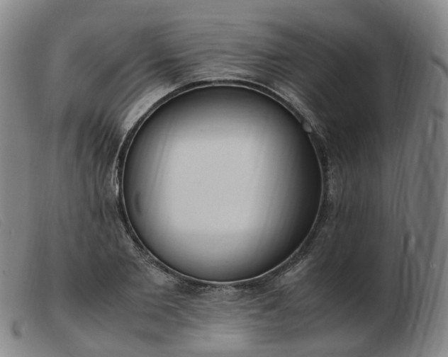 X0000103430885200809191658