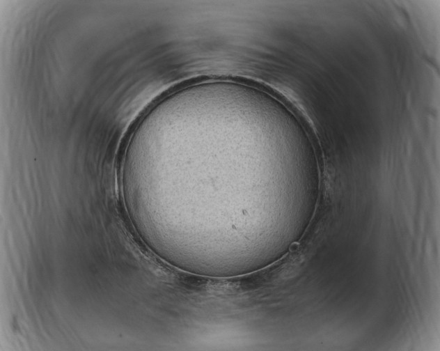 X0000103430887200809191658