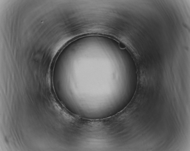 X0000103430888200809191658