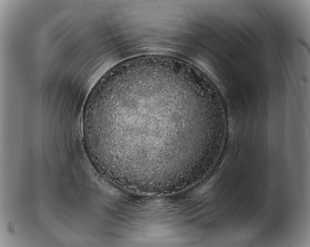 X0000103430891200809191658