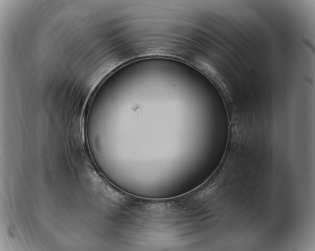 X0000103430892200809191658