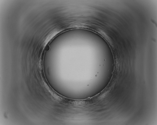 X0000103430893200809191658