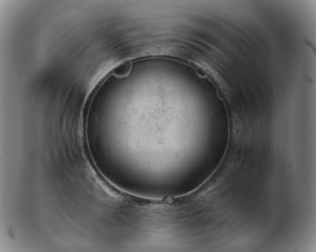 X0000103430894200809191658