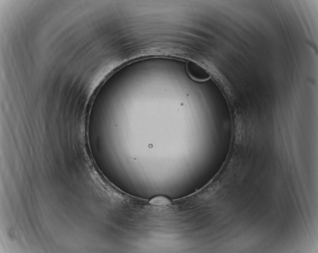 X0000103430896200809191658