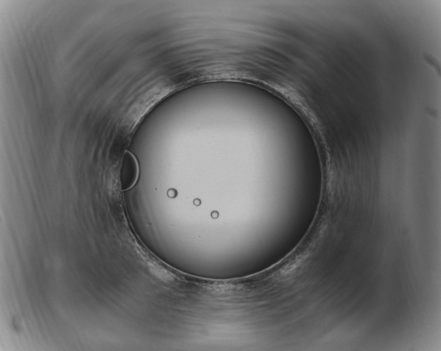 X0000103430897200809191658