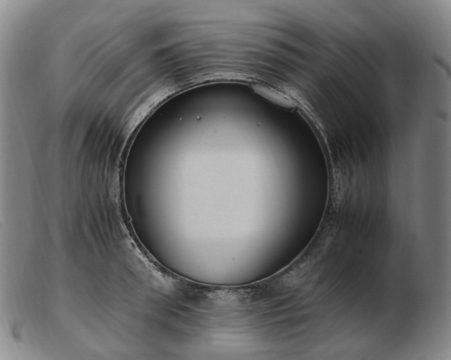 X0000103430898200809191658