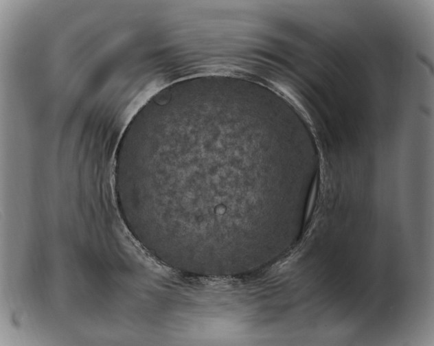 X0000103430899200809191658