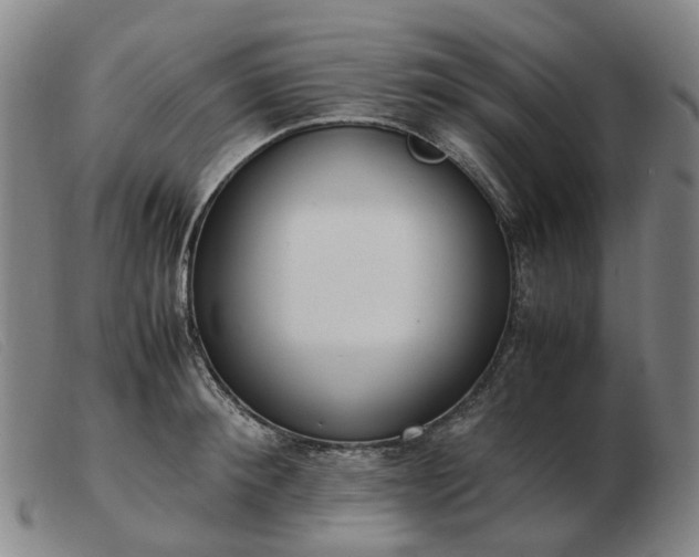 X0000103430900200809191658