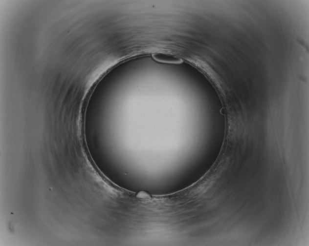 X0000103430902200809191658