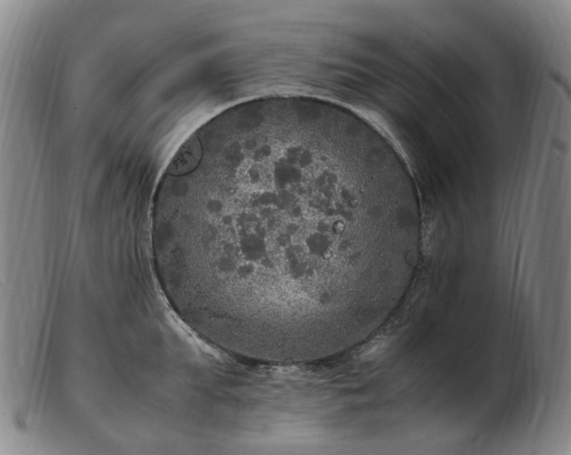 X0000103430903200809191658