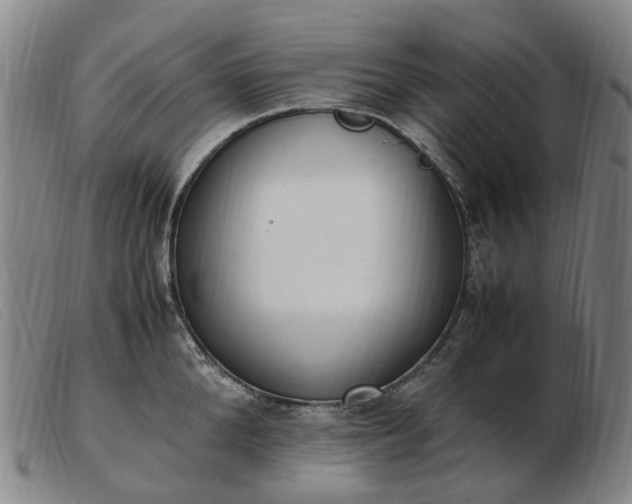 X0000103430904200809191658