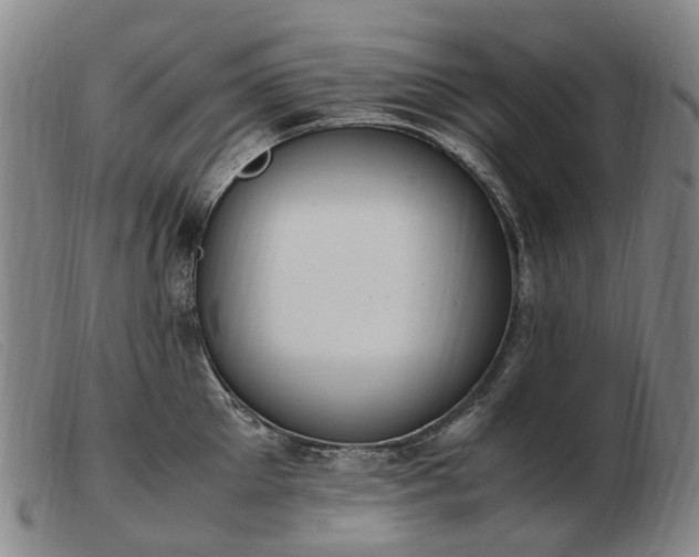 X0000103430905200809191658