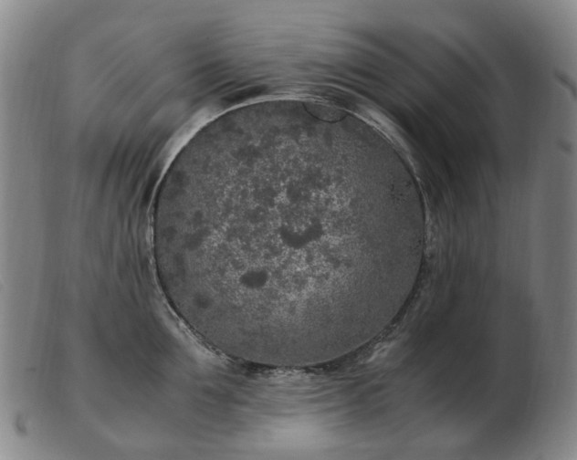 X0000103430907200809191658