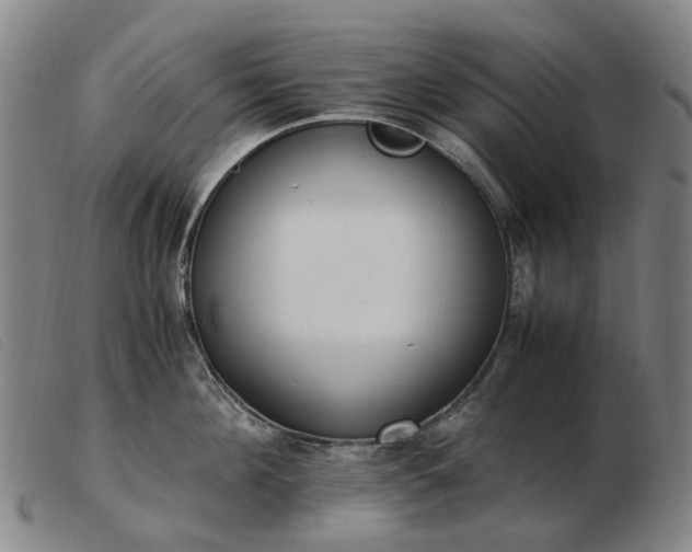 X0000103430908200809191658