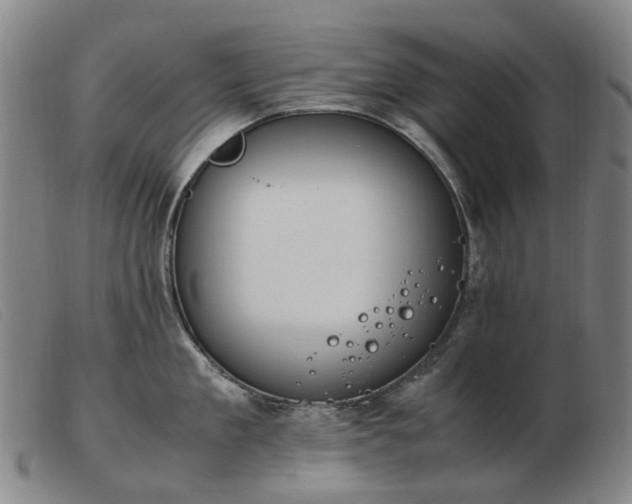 X0000103430909200809191658