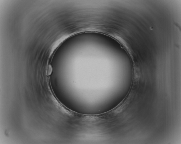 X0000103430910200809191658