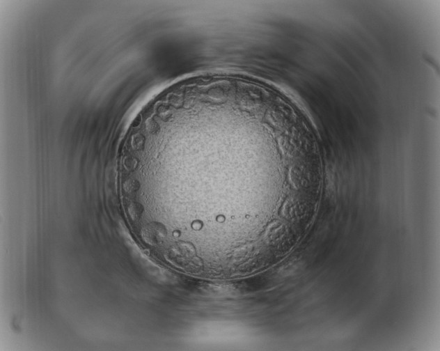 X0000103430911200809191658