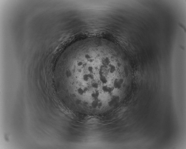 X0000103430913200809191657