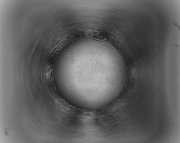 X0000103430914200809191657
