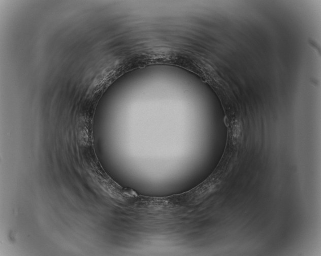 X0000103430916200809191657