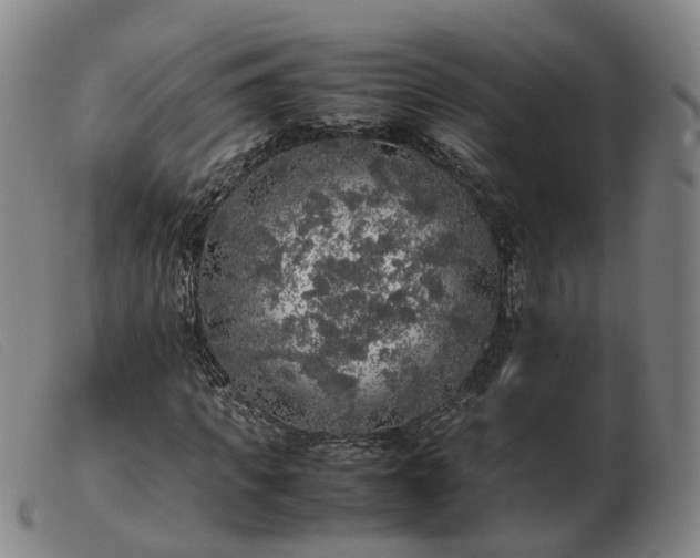 X0000103430917200809191657