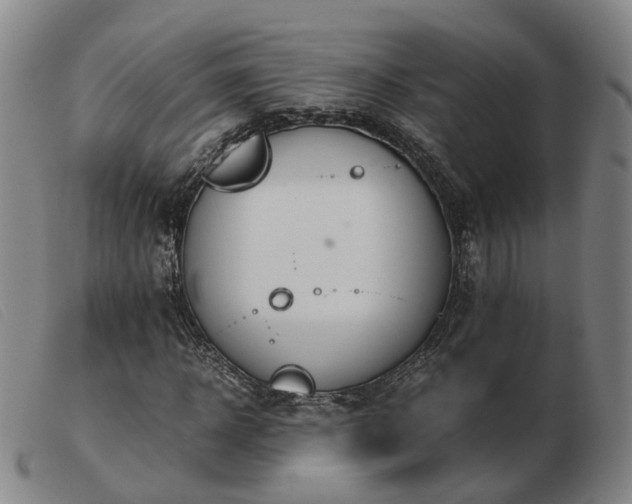 X0000103430918200809191657