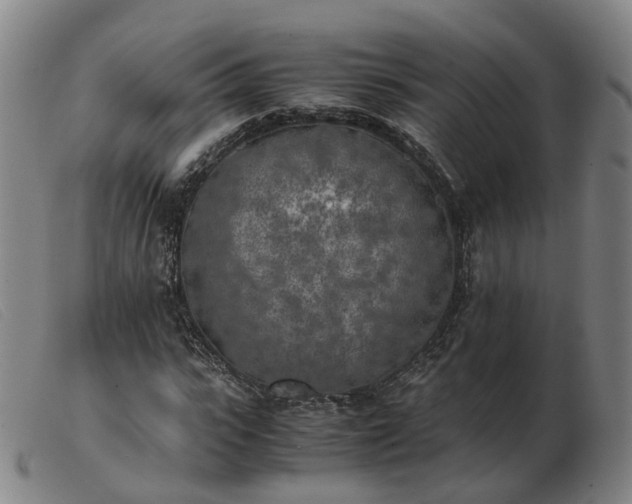 X0000103430919200809191657
