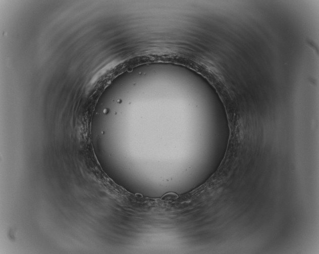 X0000103430920200809191657