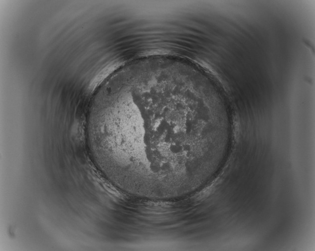 X0000103430921200809191657