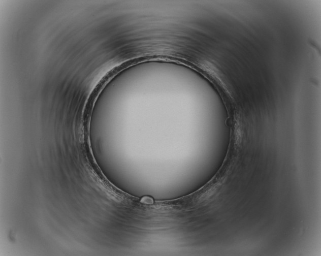 X0000103430924200809191657