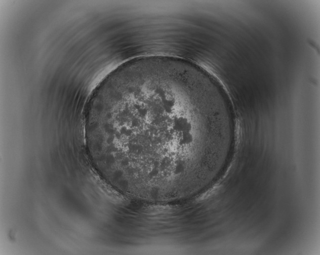 X0000103430925200809191657