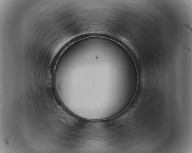 X0000103430926200809191657