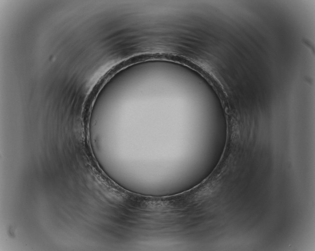 X0000103430927200809191657