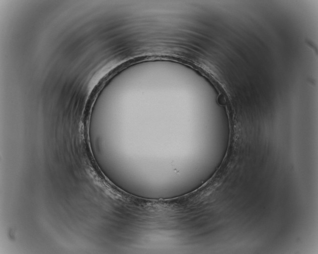 X0000103430928200809191657